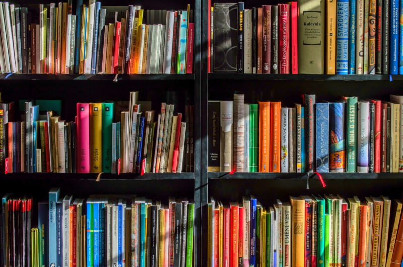 ecommerce-ST PIERRE-min_books_bookstore_book_reading_shop_writer_sale_books_read-822866